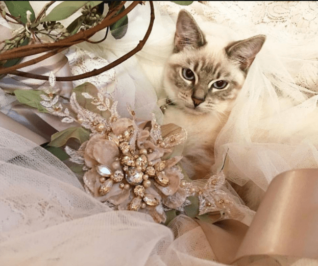 Screen Shot 2018-02-15 at 9.15.17 PM