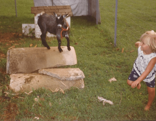 Screen Shot 2018-02-05 at 10.30.14 PM