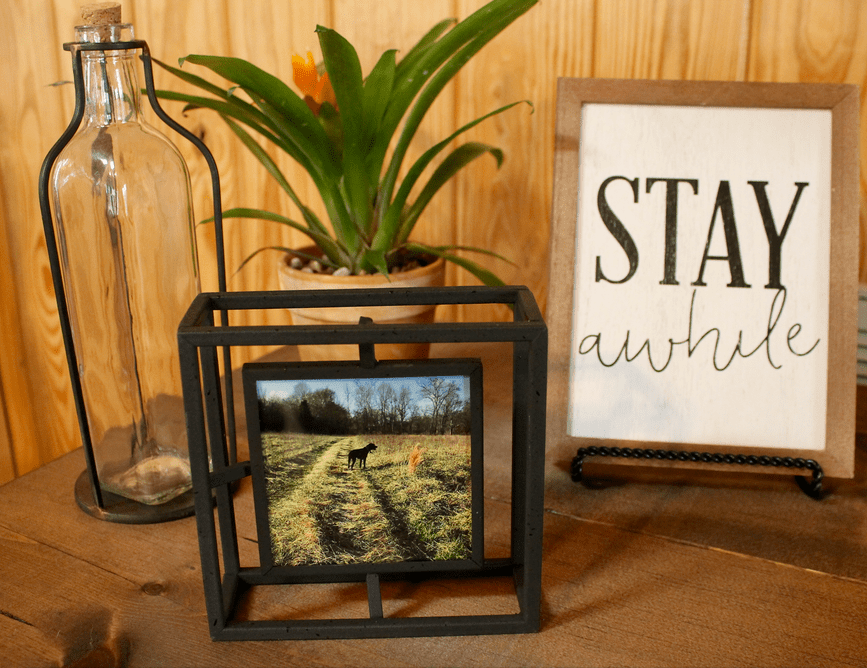 Screen Shot 2018-04-09 at 9.20.18 PM