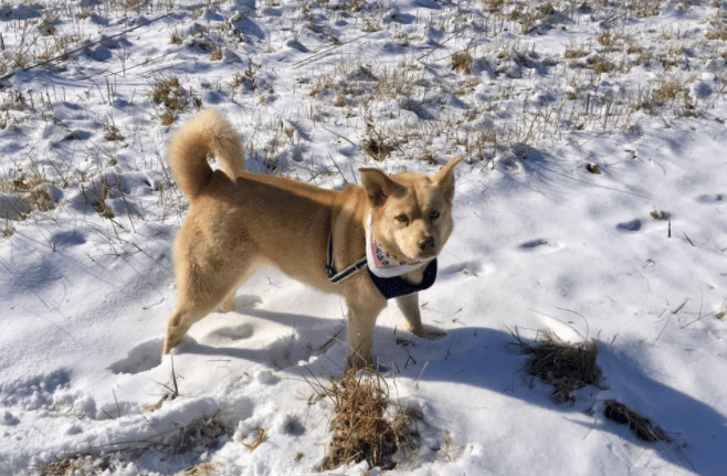 Screen Shot 2018-05-30 at 9.26.19 PM