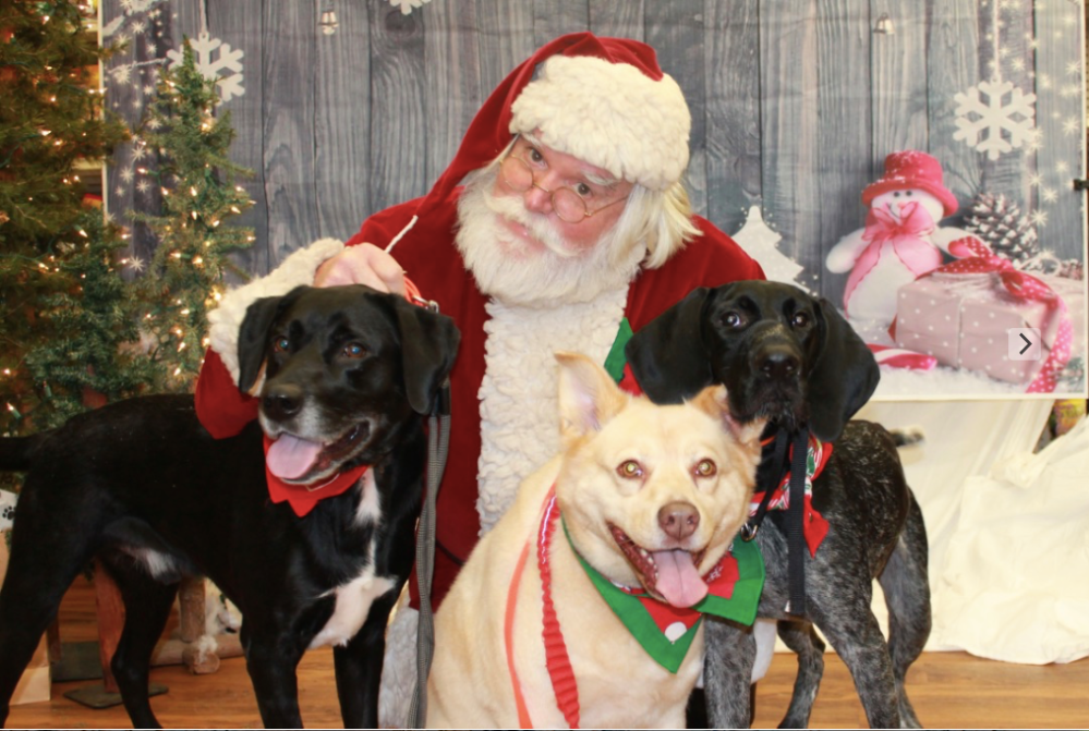 Screen Shot 2018-12-02 at 8.20.32 PM