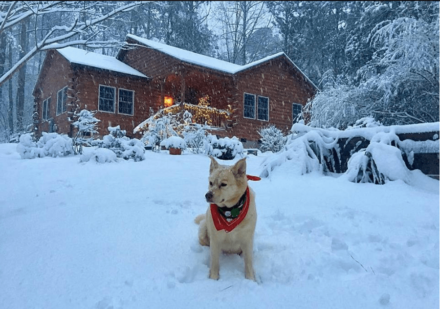 Screen Shot 2018-12-16 at 7.43.55 PM.png