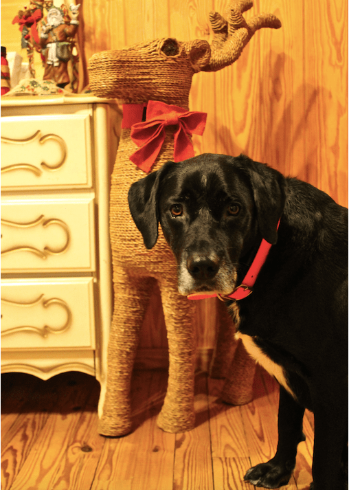 Screen Shot 2018-12-17 at 10.28.50 PM