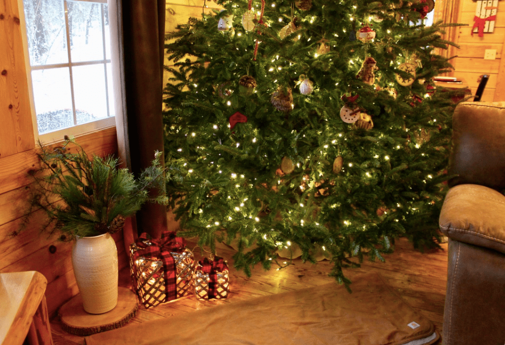 Screen Shot 2018-12-17 at 9.23.52 PM