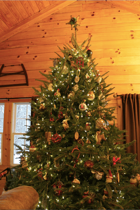 Screen Shot 2018-12-17 at 9.24.45 PM